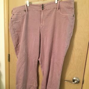Torrid Dark Lavender Jeans